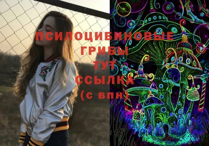 цена   Курганинск  ОМГ ОМГ ТОР  Псилоцибиновые грибы MAGIC MUSHROOMS 